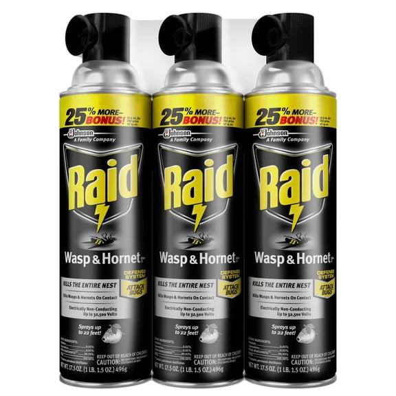 Raid Wasp & Hornet Killer 3ct, 17.5 oz.