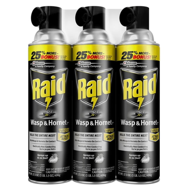 Raid Wasp & Hornet Killer 3ct, 17.5 oz.