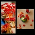thumbnail image 4 of LEGO Botanicals Japanese Red Maple Bonsai Tree Building Set, 474 pc., 4 of 6