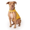 thumbnail image 2 of Free Country Waterproof Doggy Rain Jacket, 2 of 5