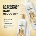 thumbnail image 3 of Pantene Pro-V Miracles Extreme Damage Care Regenerative Oil Blend Shampoo & Conditioner,  30 fl. oz., 2 pk., 3 of 9