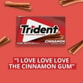 thumbnail image 5 of Trident Cinnamon Sugar Free Gum, 14 pieces, 15 pk., 5 of 9