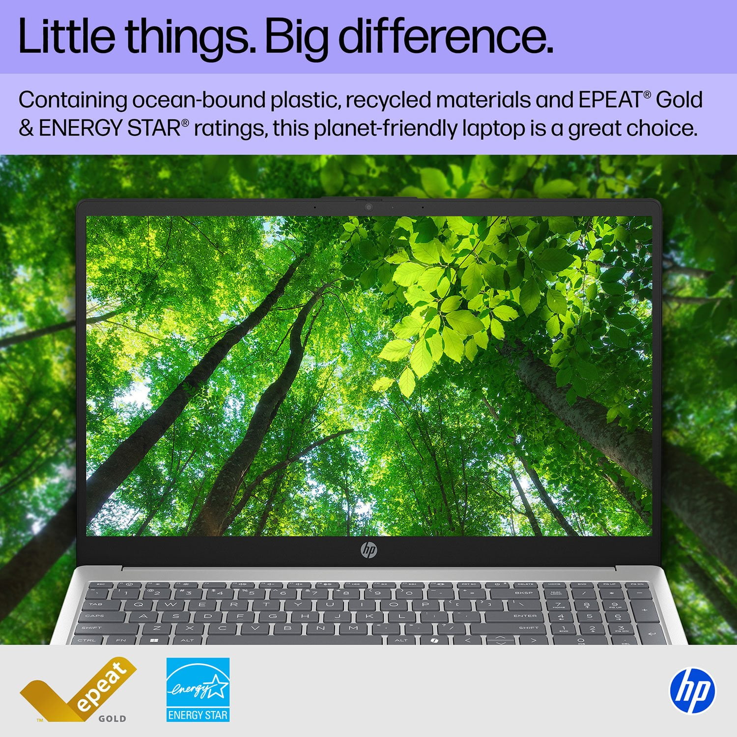 HP 15.6