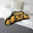 thumbnail image 2 of Logo Brands North Carolina A&T Aggies XL Puff Pillow, 2 of 5