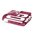 thumbnail image 5 of Logo Brands Minnesota Golden Gophers 60"x70" Super Plush Blanket, 5 of 6
