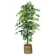 thumbnail image 1 of Faux 72" Ficus Tree in Roped-Style Handwoven Basket, 1 of 6