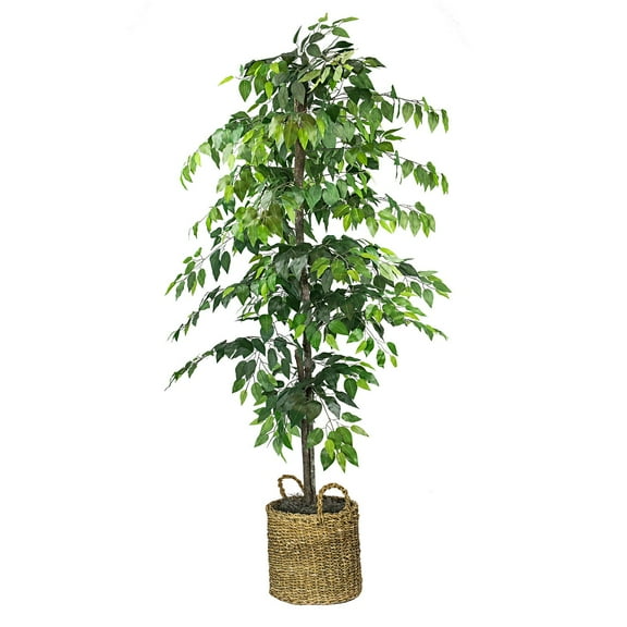 Faux 72" Ficus Tree in Roped-Style Handwoven Basket