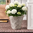thumbnail image 1 of Member's Mark 22" Garden Planter, 1 of 3