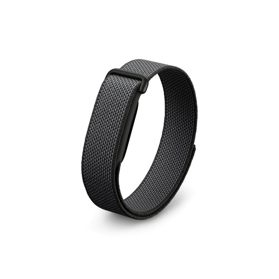 Google Fitbit Air