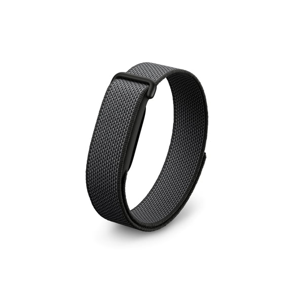 Google Fitbit Air