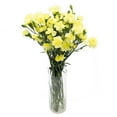 thumbnail image 3 of Member's Mark Mini Carnations, Choose color and stem count, 3 of 6
