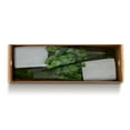 thumbnail image 5 of Member's Mark Ecuadorian Premium Roses, choose color variety and stem count, 5 of 6