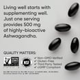 thumbnail image 6 of Sports Research Ashwagandha 500mg Plant Based Soft Gels, 90 ct, 6 of 7