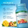 thumbnail image 3 of Nature's Truth Restore and Unwind Tropical Ashwagandha Gummies, 500 mg. 120 ct., 3 of 4