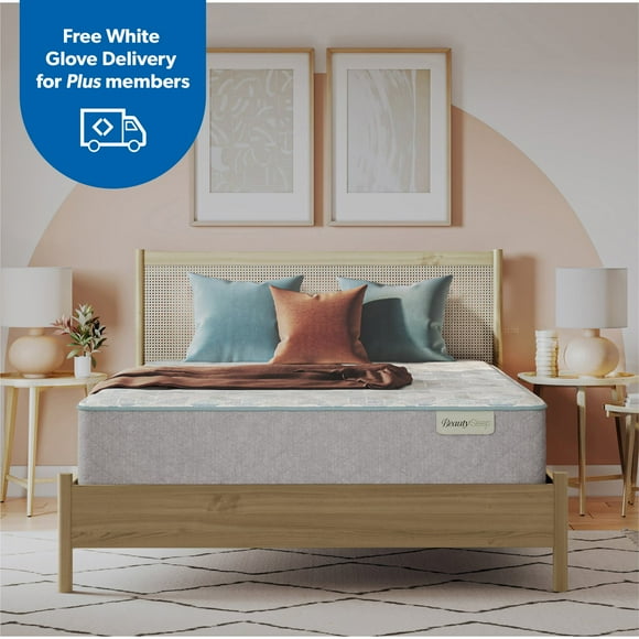 BeautySleep Slumberscape 13.75" Plush Mattress