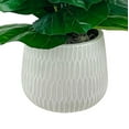 thumbnail image 2 of Faux 5' Deluxe Fig Floor Plant in White Ceramic Pot, 2 of 5