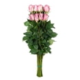 thumbnail image 6 of Member's Mark Roses, choose color and stem count, 6 of 7