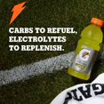 thumbnail image 4 of Gatorade Thirst Quencher Variety Pack 20 fl. oz., 24 pk., 4 of 7