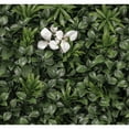 thumbnail image 1 of Select Surfaces Artificial Hedge Panels, 2-Pack, Choose Type, 1 of 7