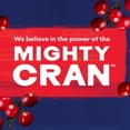 thumbnail image 4 of Ocean Spray Cranberry Juice Cocktail, 10 fl. oz., 24 pk., 4 of 5