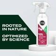 thumbnail image 4 of STEM Kills Ants, Roaches and Flies (12 fl. oz., 3 pk.), 4 of 8
