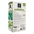 thumbnail image 2 of Member's Mark Hosta Combo Christmas Tree & Paul's Glory Dormant Bulbs, 6pk, 2 of 9