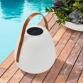 thumbnail image 3 of Member's Mark Outdoor Solar LED Lantern, 3 of 4