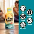 thumbnail image 6 of 5-hour ENERGY Shot, Extra Strength, Tropical Burst 1.93 oz., 24 pk., 6 of 8