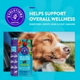 thumbnail image 3 of Evolutions by NaturVet, All-in-One Plus Superfoods, Soft Chews for Dogs, 180 ct., 3 of 9