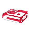 thumbnail image 5 of Logo Brands Georgia Bulldogs 60"x70" Super Plush Blanket, 5 of 6