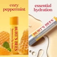 thumbnail image 4 of Burt's Bees 100% Natural Origin Beeswax Moisturizing Lip Balm 8 pk., 4 of 11