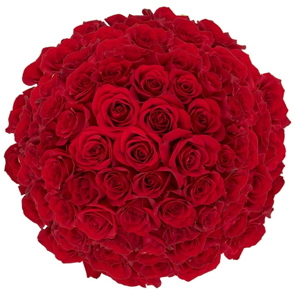 Member's Mark Roses, choose color variety and stem count