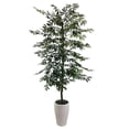 thumbnail image 1 of Artificial 6.5' Olive Tree in a White Ceramic Planter, 1 of 3
