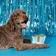 thumbnail image 5 of Party Animal Birthday Box Dog Toy Bundle, 5-Piece Set Blue, 5 of 9