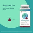 thumbnail image 3 of Youtheory Ashwagandha Gummies, Mixed Berry, 150 ct., 3 of 7