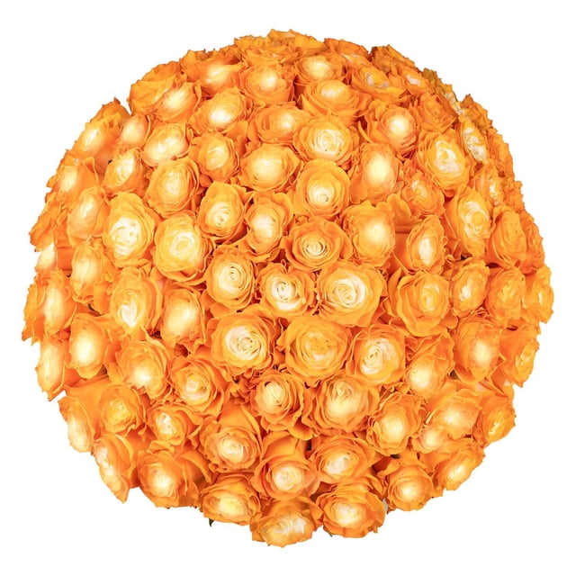 Member's Mark Illusion Roses, choose color and stem count:- 100, Orange