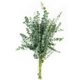thumbnail image 6 of Member's Mark California Greens Sampler (10 bunches), 6 of 12