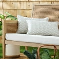 thumbnail image 1 of Martha Stewart Vineyard Vines Indoor/Outdoor Decorative Pillow, Set of 2, Choose Size, 1 of 10
