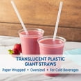 thumbnail image 4 of Member's Mark Giant Translucent Wrapped Plastic Straws, 10.25", 2,400 ct., 4 of 7