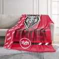 thumbnail image 2 of Logo Brands New Mexico Lobos 60"x70" Super Plush Blanket, 2 of 7