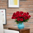 thumbnail image 6 of Member's Mark Ecuadorian Premium Roses, choose color variety and stem count, 6 of 6