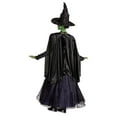 thumbnail image 2 of Universal Pictures Wicked Elphaba Adult Prestige Gown Costume, 2 of 9