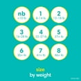 thumbnail image 2 of Pampers Swaddlers Diapers, Sizes Newborn-8, 2 of 12