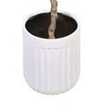 thumbnail image 2 of Faux 8' Eucalyptus Tree in Oversized Ceramic Pot, 2 of 6