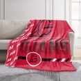 thumbnail image 2 of Logo Brands Center Grove School 60"x70" Super Plush Blanket, 2 of 7