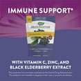 thumbnail image 4 of Sambucus Elderberry Throat Lozenges with Vitamin C and Zinc, 120 ct., 4 of 11