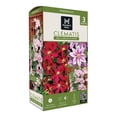 thumbnail image 1 of Member's Mark Clematis Bees Jubilee & Niobe Dormant Bulbs, 3pk, 1 of 10