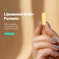 thumbnail image 3 of Codeage Liposomal NAD+ Capsules, 60 ct., 3 of 10
