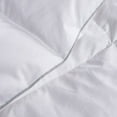 thumbnail image 5 of Martha Stewart 100% Cotton White Feather and Down Comforter, Assorted Sizes, 5 of 8