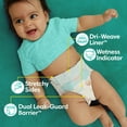 thumbnail image 3 of Pampers Baby Dry Diapers, Sizes 1-7, 3 of 10